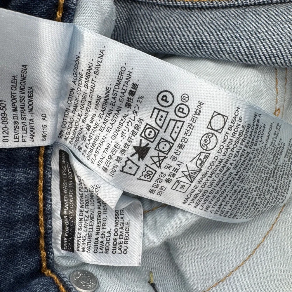 Levis levi 541
